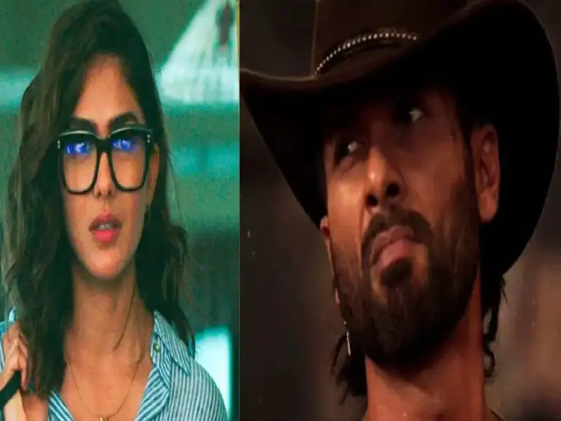 Box Office Analysis: Big Losses for Shahid Kapoor's 'O Romeo' and Mrunal-Siddhant's 'Do Deewane Seher Mein'